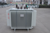 11kv Load Capacity Steel Oil Immersed Distribution Transformer