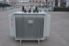 2500kVA Loading Steelral Steel Oil Immersed Distribution Transformer